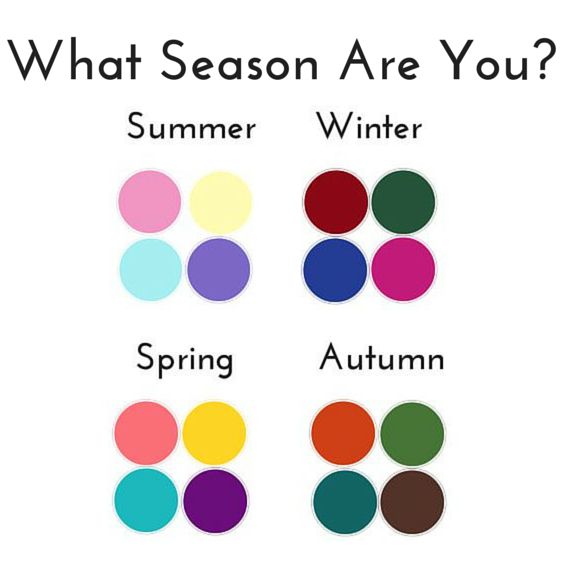 WINTER Seasonal Color Palettes true, Cool, Bright or Deep by Style  Solutions for You 