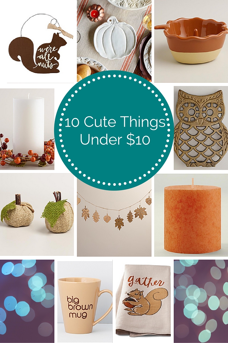 10 Cute Things Under $10 – Fall Edition – Teal Inspiration