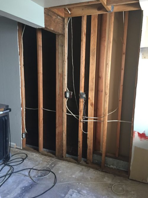construction to remove mold damage