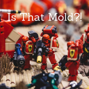 Mold Disaster