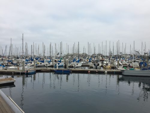 Monterey Boats