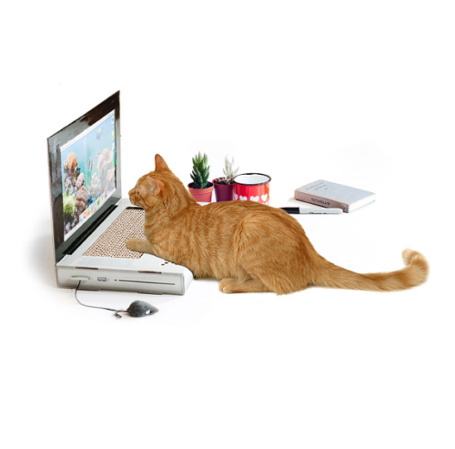 cat laptop scratching pad