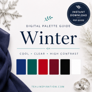 Winter Digital Palette Guide