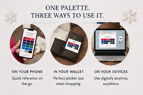 winter color palette pocket bundle shopping color reference
